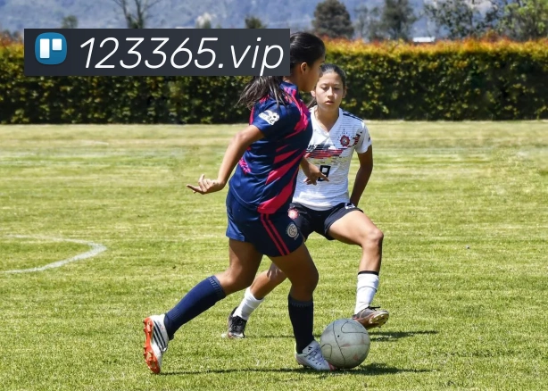 500彩票网官方APP 高清赛事图